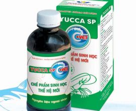 YUCCA SP-G.VET (Tôm)