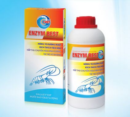 ENZYM BEST- G.VET