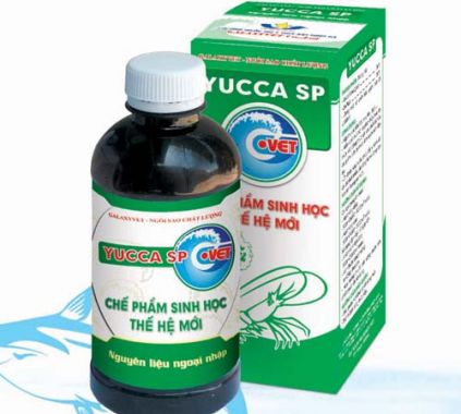 YUCCA SP-G.VET (Tôm)